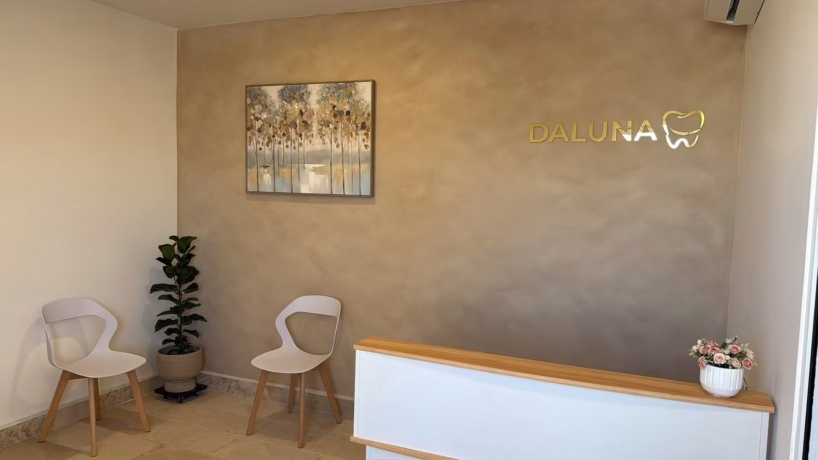 Recepción de Clínica Dental Daluna en San José del Cabo